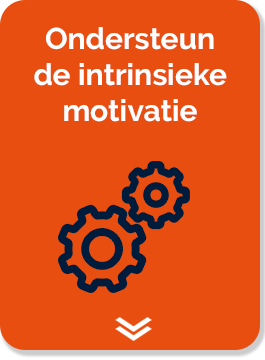Ondersteun de intrinsieke motivatie